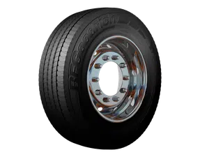BFGOODRICH ROUTE CONTROL S2 11R22.5 padanga